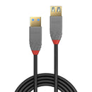 Lindy USB 3.0 Type A Male To type A Female Extension Cable, Anthra Line
